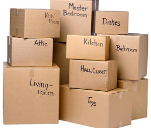 3 Types of Plastic Moving Boxes – Moving Boxes, Supplies and